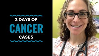 2 days of Cancer Cases mammary and prostate lymphoma osteosarcoma amp a cat with MCT VLOG 36 [upl. by Nairda]