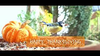 HAPPY THANKSGIVING [upl. by Odama]