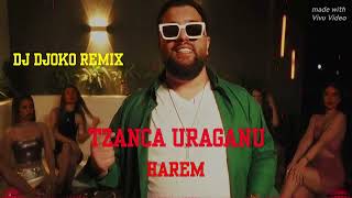 Tzanca Uraganu  Harem  🔱 Dj Djoko Remix 🔱 [upl. by Nagiam]