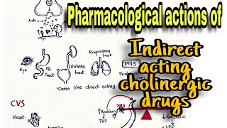 Cholinergic Drugs Pharmacological Action Indirect Acting Drugs and Anticholinesterases [upl. by Werd920]