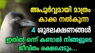 അപൂർവമായി മാത്രം കാക്ക നൽകുന്ന 4 ലക്ഷണങ്ങൾ  ഇതിൽ ഒന്ന് കണ്ടാൽ ജീവിതം രക്ഷപെട്ടു [upl. by Zosi]