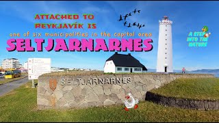 Seltjarnarnes is attached to Reykjavik Iceland 😋 Towns in Iceland [upl. by Talya]