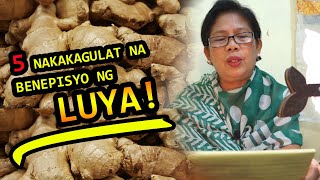 BENEPISYO NG LUYA  TAGALOG KALUSUGAN KATAWAN HONEY KALAMANSI TEA SALABAT BAWANG UBO URIC [upl. by Tlevesor]