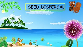 CBSE Class 5 Science Ways Of Seed Dispersal with plant names [upl. by Kedezihclem551]