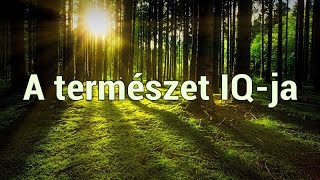 A természet IQja  Természetfilm [upl. by Oralee]