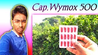 Capsule Wymox 500 Review Bengali [upl. by Adnohsak878]