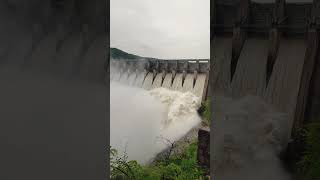 Bariga Padina Varsaniki Srisailam Dam 10 Gates open chesiru roadlu closed dont go shorts [upl. by Euqenimod127]