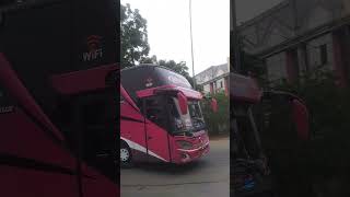 DI ASAPIN BUS STJ [upl. by Naryb]