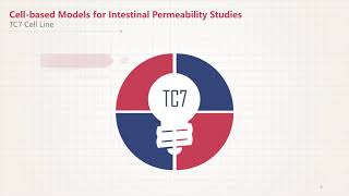 Comparison of Caco 2 with Other Cell based Models for Intestinal Permeability Studies [upl. by Cohbert887]