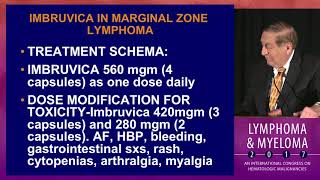 Marginal Zone Lymphoma Updates [upl. by Ottavia]