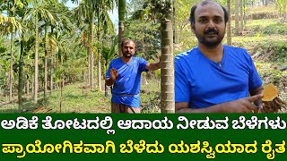 ಅಡಿಕೆ ತೋಟದಲ್ಲಿ ಆದಾಯ ನೀಡುವ ಅಧ್ಬುತ ಬೆಳೆಗಳು  Intercropping in arecanut  arecanut farming in kannada [upl. by Novyert]