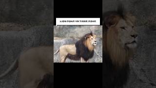 Tiger Roar vs Lion Roar  Which is LOUDERPart One [upl. by Neetsuj270]