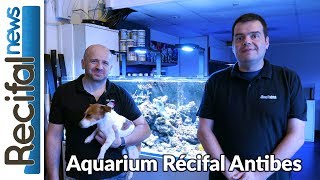 Aquarium Récifal Antibes  interview de Stéphane Garcia [upl. by Nylyram]