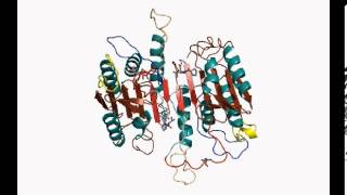 Procaspase3 conformational change [upl. by Wernda411]