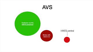 Why you shouldnt do the HINTS exam on patients who DONT have nystagmus [upl. by Anire]