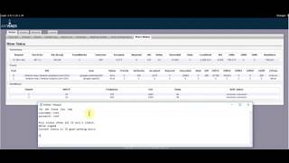 s3 antminer Asic Status Miner configuration [upl. by Pedrotti]