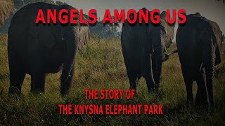 The Knysna elephant park [upl. by Noemys]