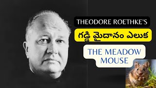 Telugu Summary of Theodore Roethkes poem quotThe Meadow Mousequot [upl. by Roxane324]