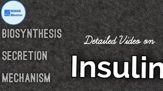 Insulin  Structure Biosynthesis Secretion amp Mechanism of Action  Biochemistry  MBBS Mentor [upl. by Naaitsirhc]