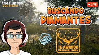 Buscando Diamantes en Te Awaroa thehuntercallofthewild hunter callofthewild [upl. by Laiceps]