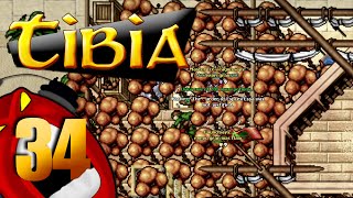 PROGRAMA TIBIANO 34  EPIC TIBIA JOGADAS [upl. by Dolly5]