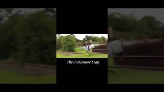 Most dangerous jumps in the world The Cottesmore Leap It’s 3m wide and 476ft tall horse [upl. by Archy]