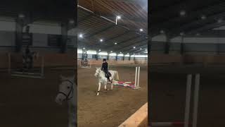 Freja❤️‍🩹Does anyone wanna see some fails🤨 equestrian horsefails freja [upl. by Alitta]