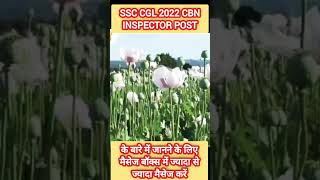 ssc cgl 2022  CBN inspector post  sensitive department of Indian government [upl. by Retsel621]