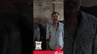 Godrej Agrovet  Hindi  Madhya Pradesh  Testimonial 2 [upl. by Nessie]