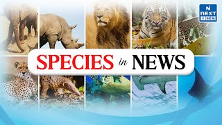 Species In News  Environment amp Ecology Current Affairs  UPSC [upl. by Del538]