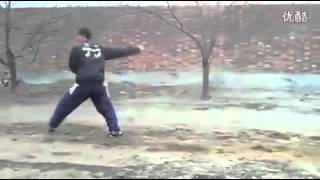 Bajiquan xiao jia 4th routine  slow motion 八极小架四路 慢速 [upl. by Janessa]