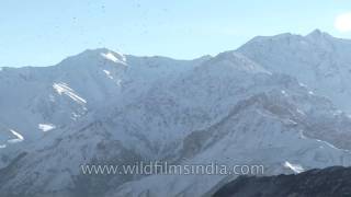 The birding paradise  Ladakh [upl. by Hector388]