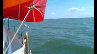 sailing corpus christi bay [upl. by Squire]