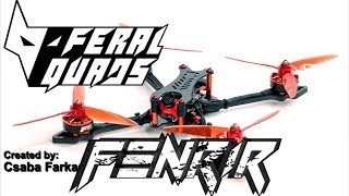 Feral Quads Fenrir X5  UltraLight 5quot Race Frame [upl. by Harrington]