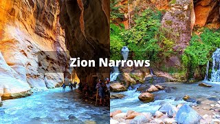 Zion Narrows  Zion National Park  Utah [upl. by Zelle]