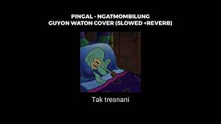 PINGAL Slowed  ReverbGuyon waton [upl. by Ahsaek]