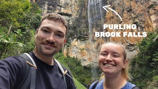 The Perfect Escape to SPRINGBROOK NATIONAL PARK [upl. by Yatnohs]