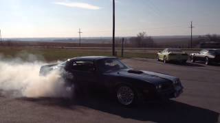 78 bandit Trans am burnout [upl. by Porche]