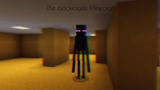 The Backrooms found footage Minecraft [upl. by Drolet542]