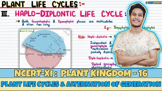 Plant Kingdom Lec 16 Plant Life Cycles amp Alternation of Generations Class 11 NEET Neetology [upl. by Azilef]