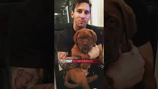 Conoce al Fiel Compañero de Messi Su Perro 🐾 Messi LeoMessi Futbol [upl. by Koh140]