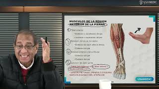 ANATOMÍA DEL MIEMBRO INFERIOR LA PIERNA  Usamedic [upl. by Rettke]