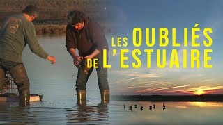 Médoc  Les oubliés de l’estuaire [upl. by Enimzaj690]