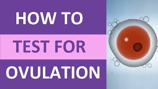 How to Take an Ovulation Test Clearblue for Pregnancy  Ovulation Symptoms amp Test Kit [upl. by Aryl]