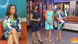 Erica Hill Dylan Dreyer and Jenna Wolfe Aug 3 2014 [upl. by Arammat]