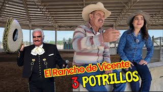 VICENTE FERNÁNDEZ y sus 3 POTRILLOS  ALMA CORONEL [upl. by Marion]