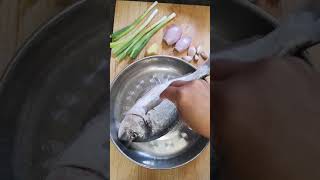 👩‍🍳 Easy cooking  Braised fish 红烧鱼 [upl. by Weisman]