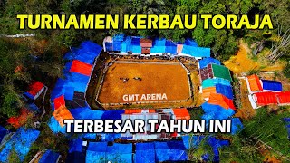 Turnamen Kerbau Terbesar Tahun Ini Pesertanya Banyak Banget  GMT Arena Tondon [upl. by Aicirtan]