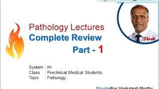 Medical School Pathology Lectures  Year ReviewPart 14 [upl. by Landa]