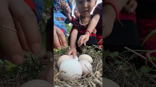 Single mom with boil chicken eggs skills camping singlemom outdoors bushcraft skills [upl. by Sean]